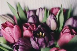 Livraison de fleurs a Paris