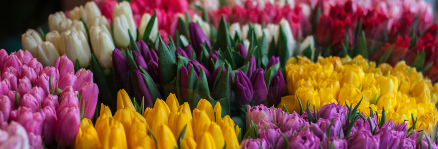 bouquet magnifique